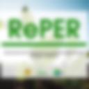 RePER